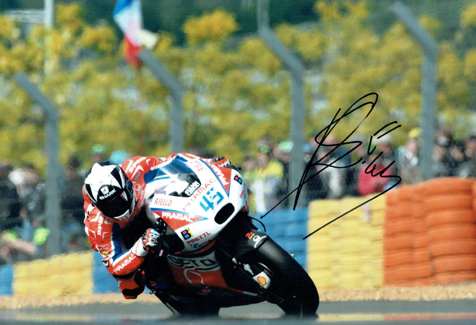 Scott REDDING 2017 SIGNED MOTOGP 12x8 Photo Poster painting 3 AFTAL COA Autograph OCTO Pramac