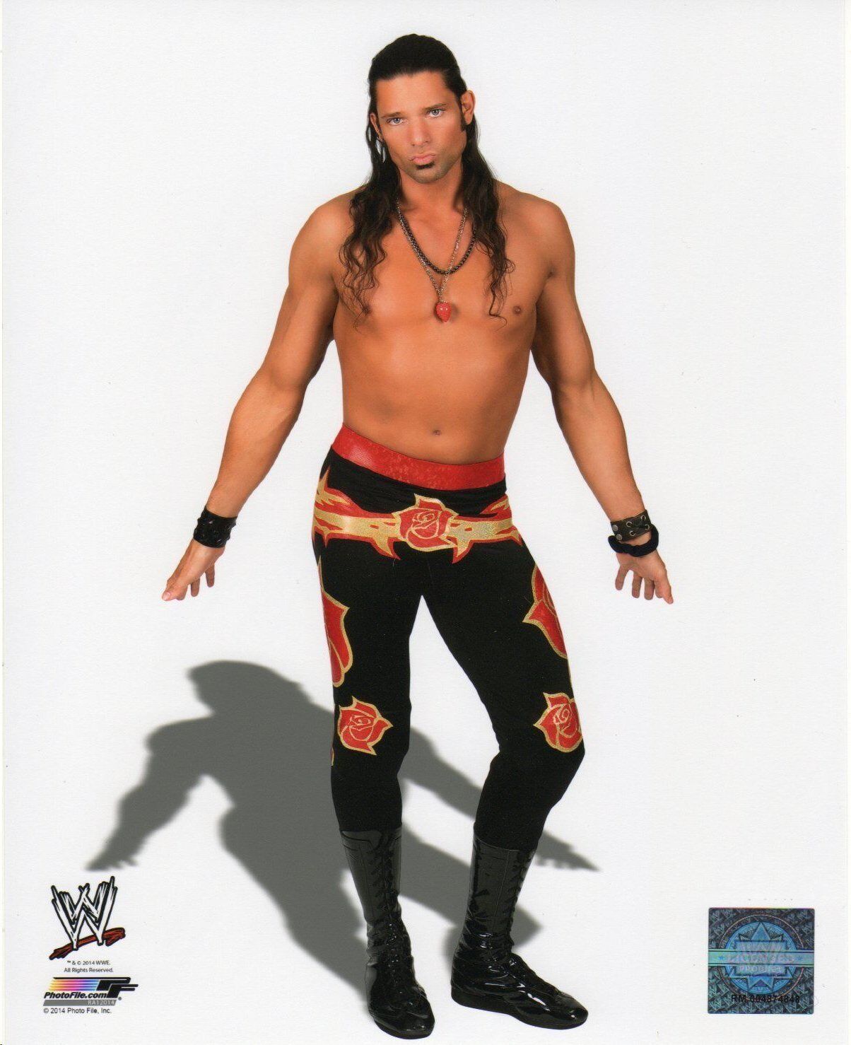 WWE ADAM ROSE OFFICIAL LICENSED 8X10 Photo Poster paintingFILE Photo Poster painting