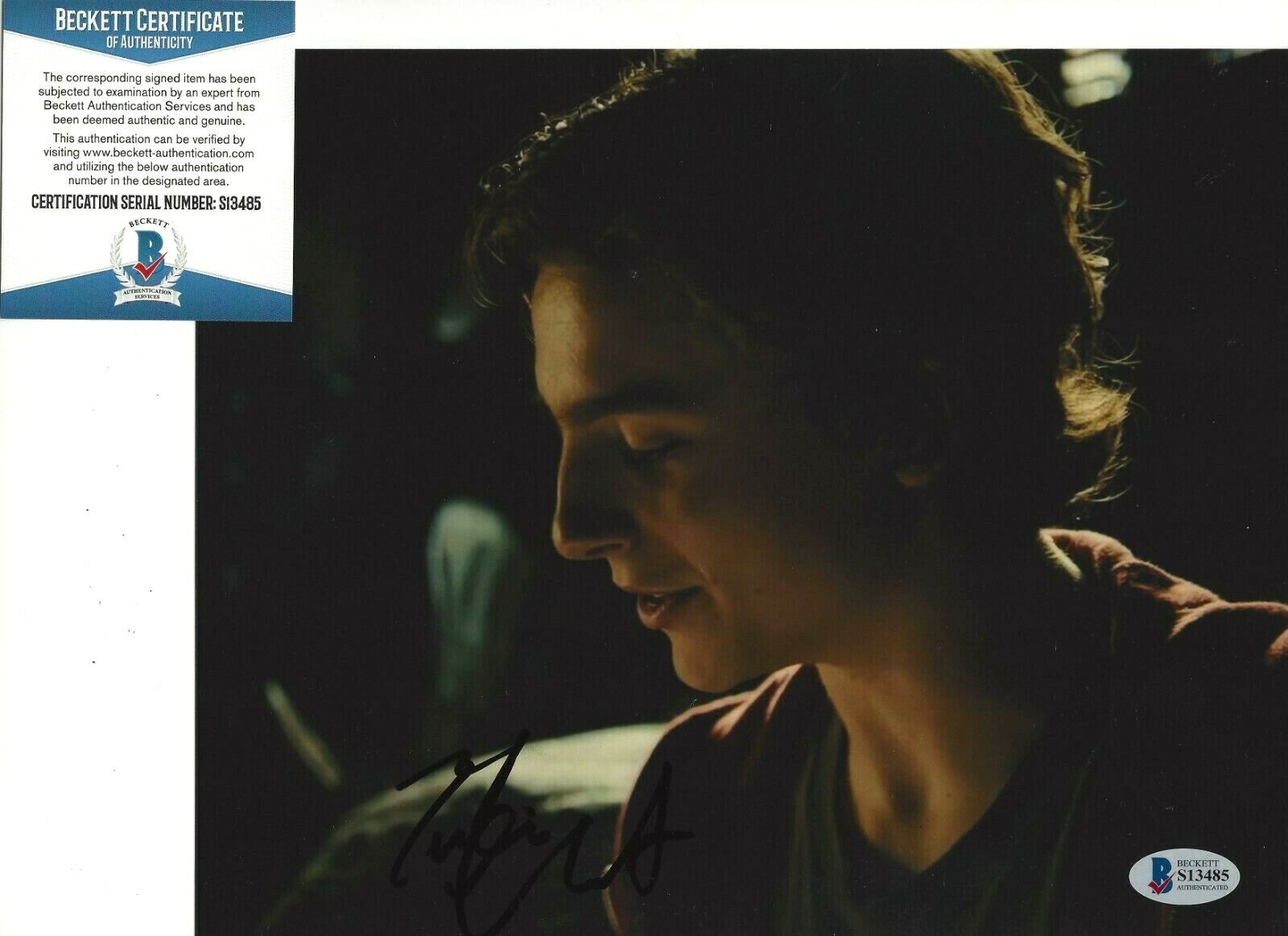 TIMOTHEE CHALAMET SIGNED CALL ME BY YOUR NAME 8x10 MOVIE Photo Poster painting BECKETT THE KING