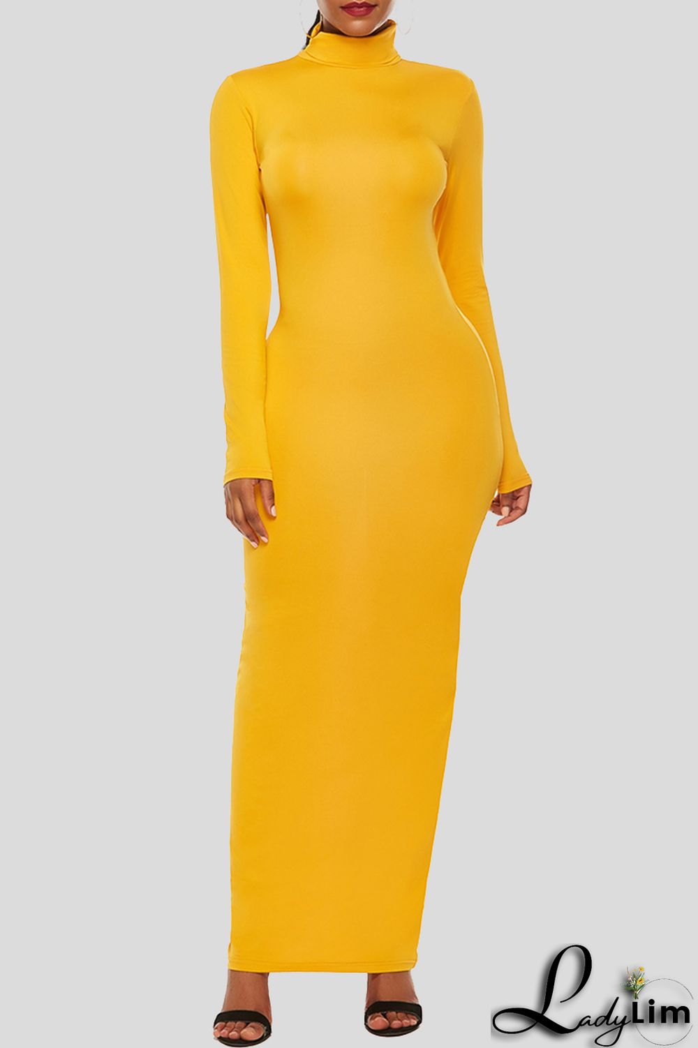 Black Fashion Casual Solid Basic Turtleneck Long Sleeve Dresses