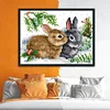 (Counted/Stamped) 11CT Lucky Rabbit - Cross Stitch 33*24cm/12.99*9.45in(Brand)