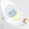 D&eacute;sodorisant & d&eacute;sodorisant &agrave; suspendre pour toilettes &agrave; chasse d'eau automatique