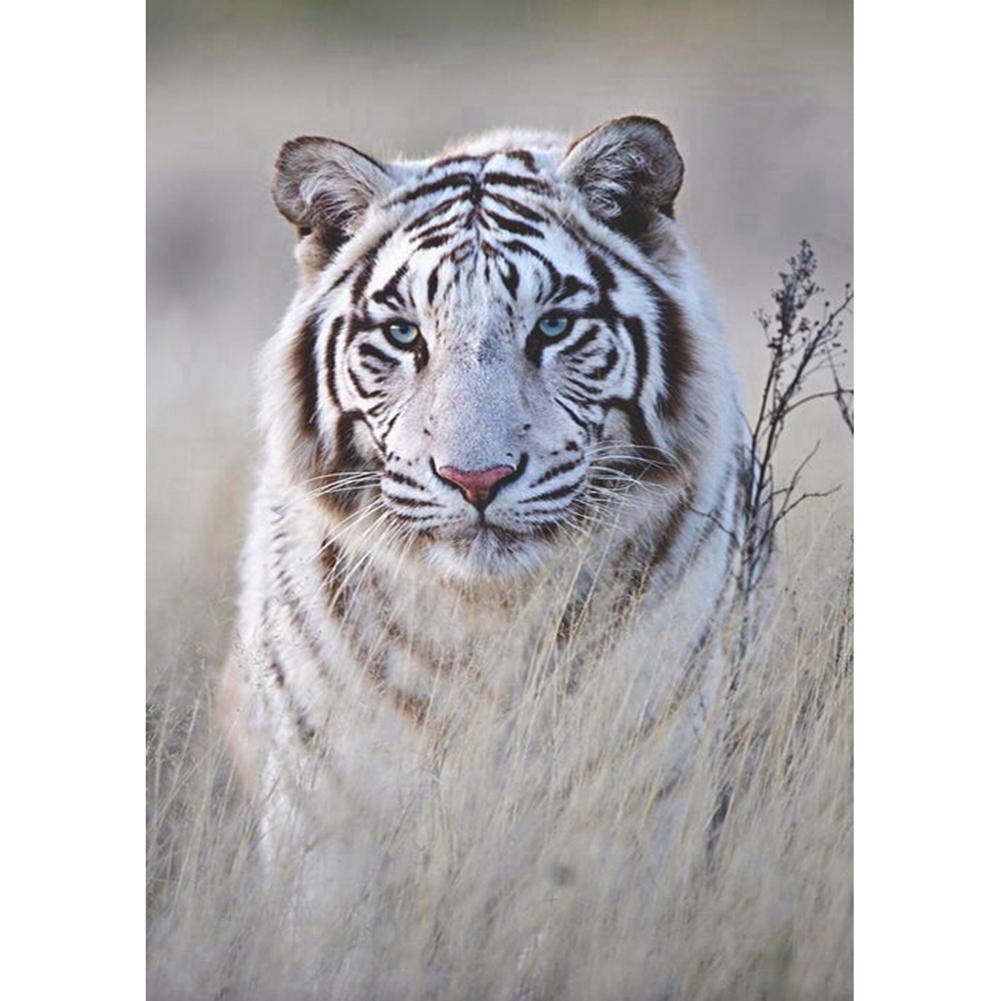 

Tiger - Round Drill Diamond Painting - 30*40CM, 501 Original