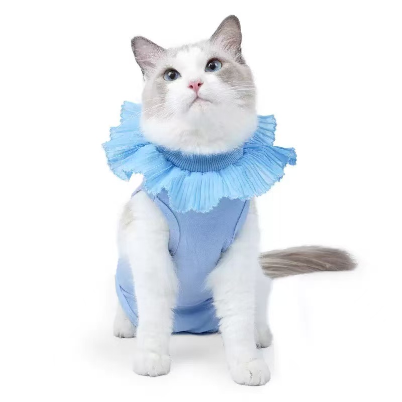 Cat Spay For Cats