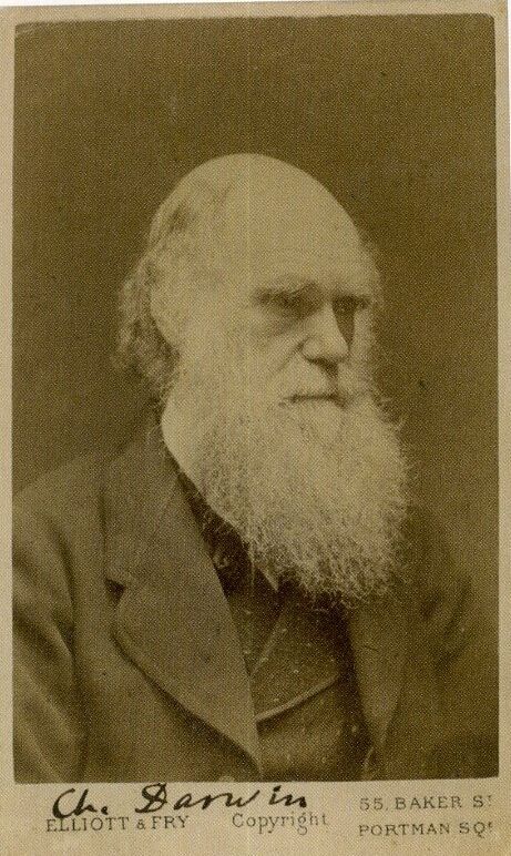 CHARLES DARWIN Signed Photo Poster paintinggraph - Naturalist / Scientist - preprint