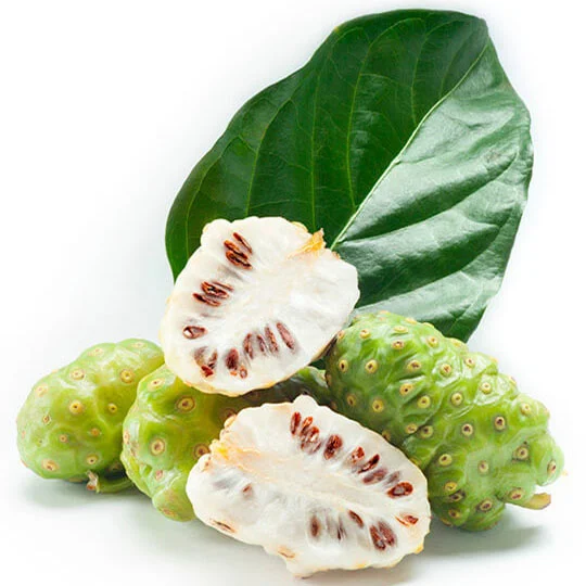 Noni Fruit Seeds