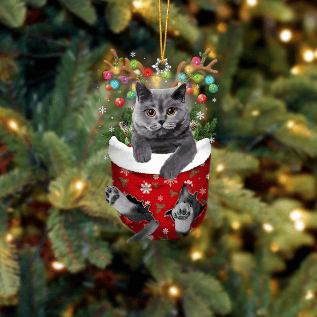 British Grey Cat In Snow Pocket Ornament