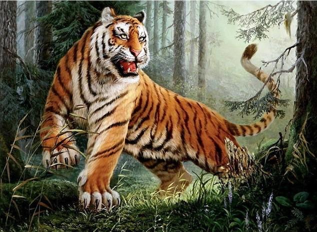 

Savage Tiger – Paint By Numbers - 40*50CM, 501 Original