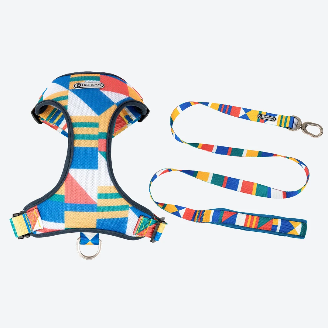 Vibrant Colorblock Harness & Leash Walk Kit