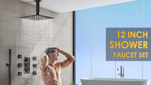 EVERSTEIN SFS-1022-BK5 ThermaGlow Thermometer Shower Head: Water-Powered Fahrenheit Display, Child and Pet Showers Finish: Matte Black