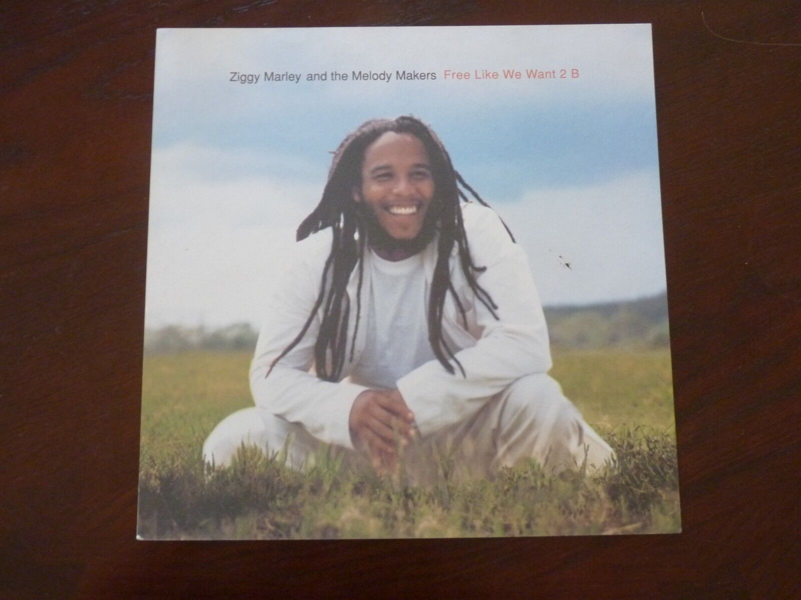 Ziggy Marley Melody Makers  Want 2 B Promo LP Record Photo Poster painting Flat 12x12 Poster