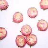 10 Pack | 3" Coral Artificial Silk DIY Craft Peony Flower Heads