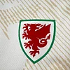 Wales 2026 Away World Cup