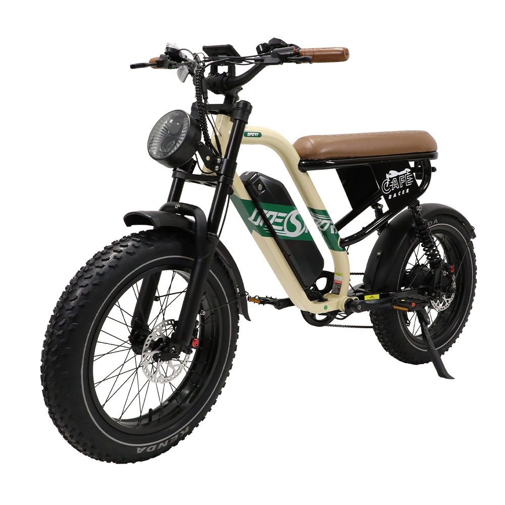 OneSport W66 Electric Bike 500W Motor 48V 13.5Ah Battery 20 Inch Fat Bike Rear Suspension. 