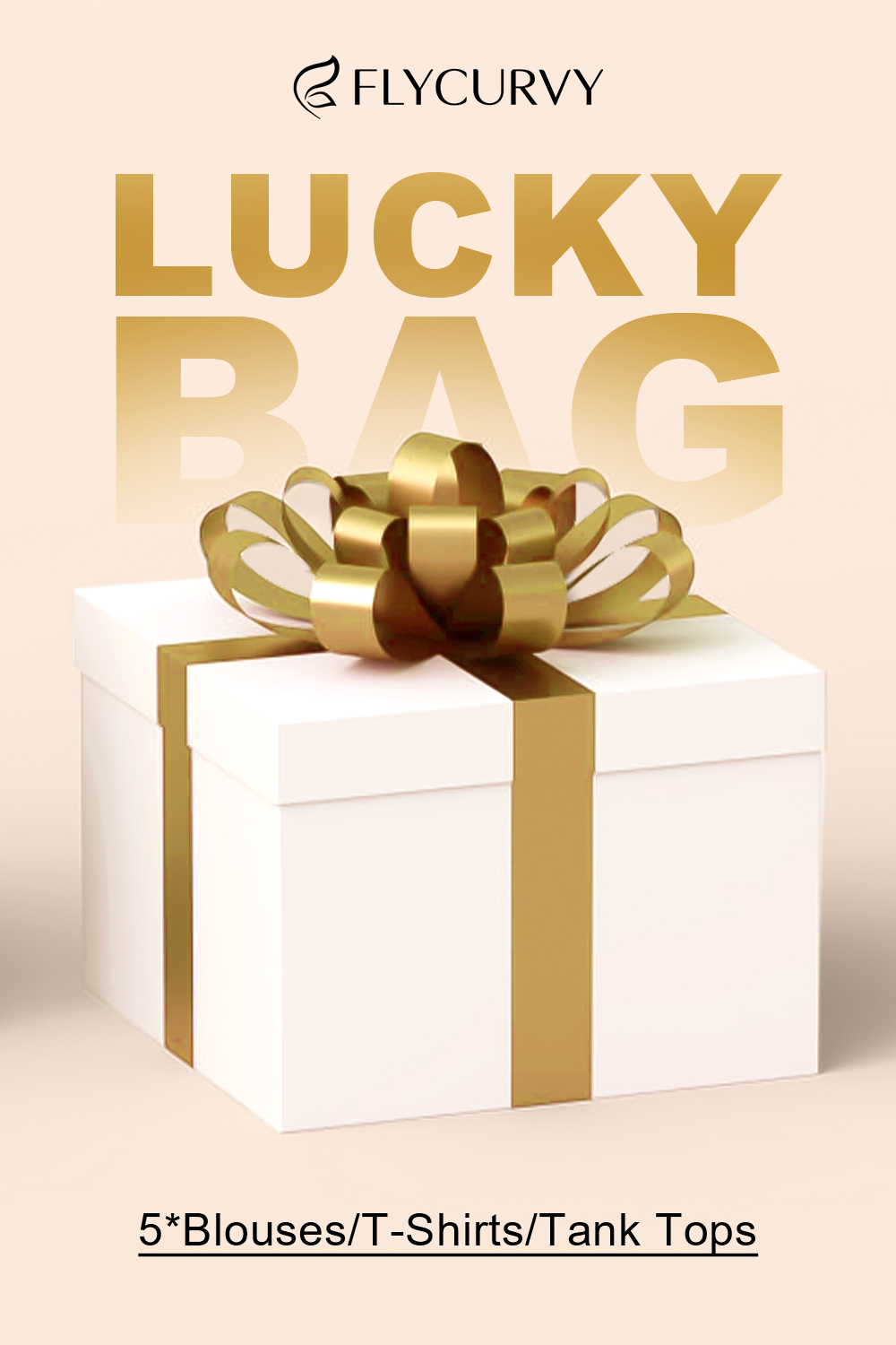 Lucky Bag-5 Random T-Shirts Or Blouses Or Tank Tops 2024 - Flycurvy 