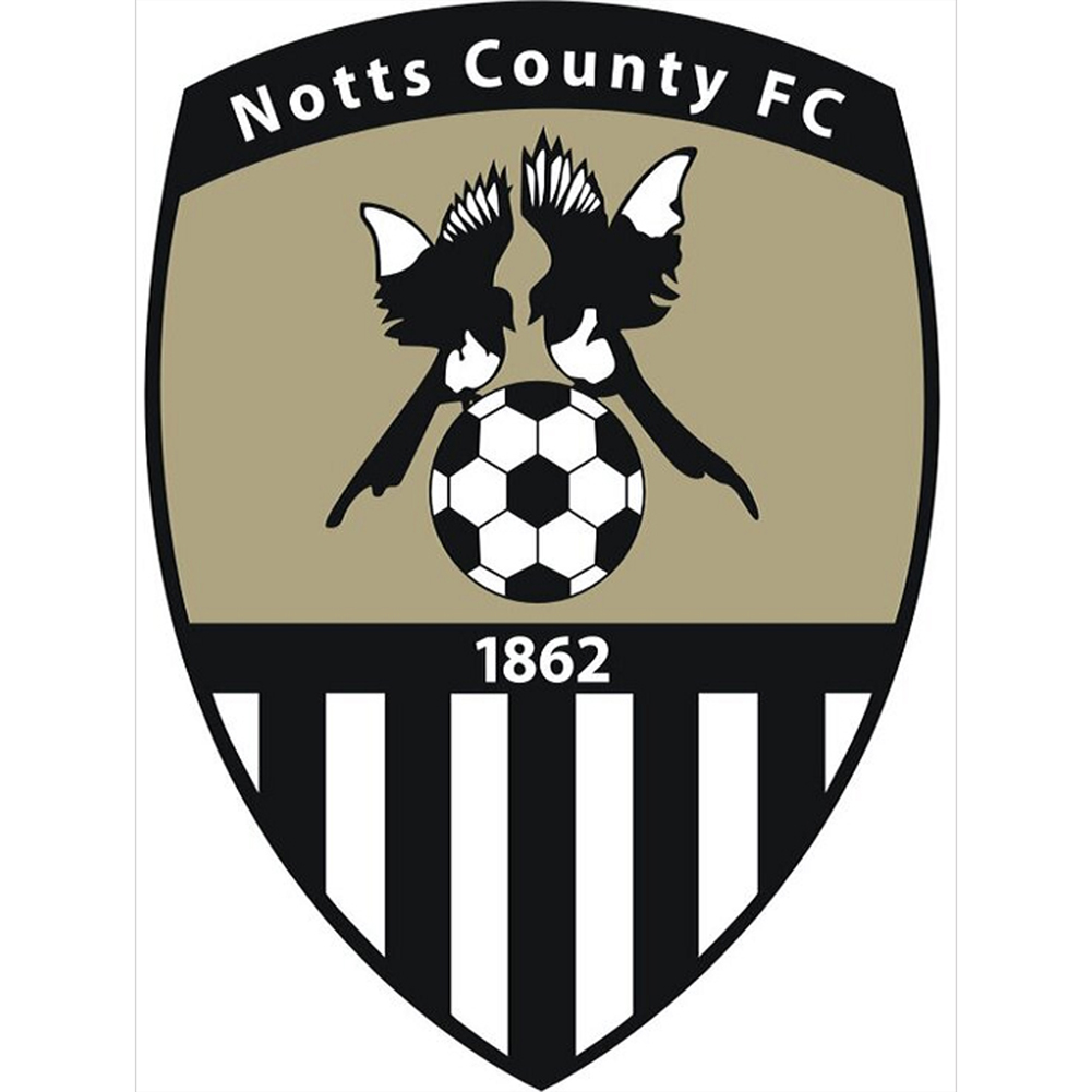 

Football Notts County - Round Drill Diamond Painting - 30*40CM, 501 Original