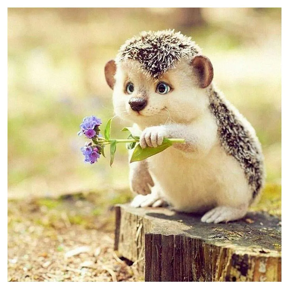 Diamond Painting - Full Round - Cute Hedgehog