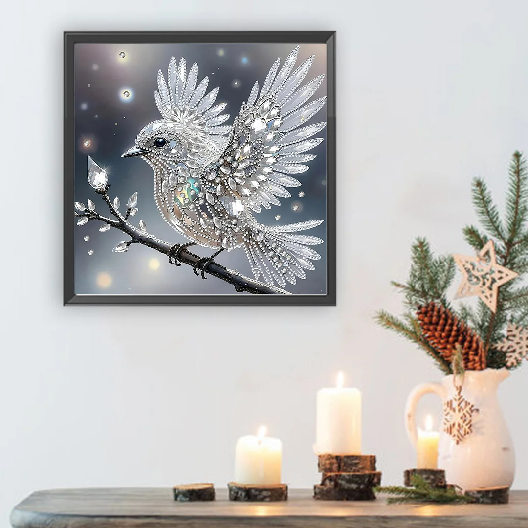 Hummingbird Special Shaped 5D DIY Partial Drill Diamond Painting Kit 30x30cm