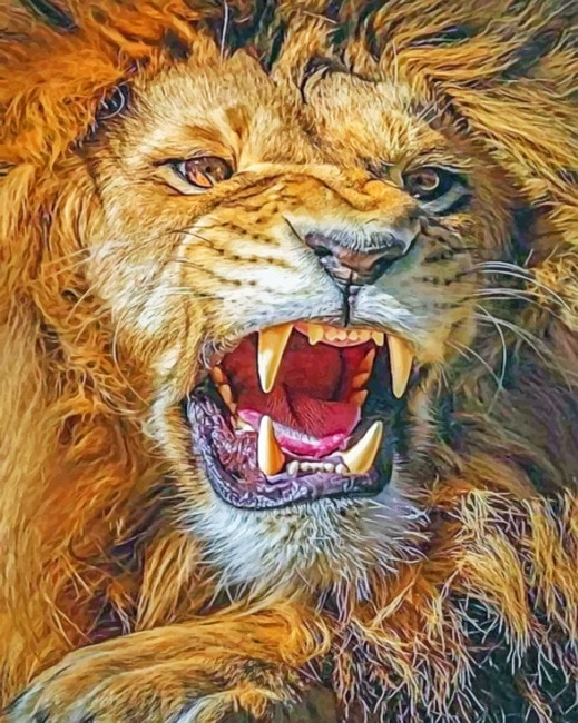 

Mad Lion – Paint By Numbers - 40*50CM, 501 Original