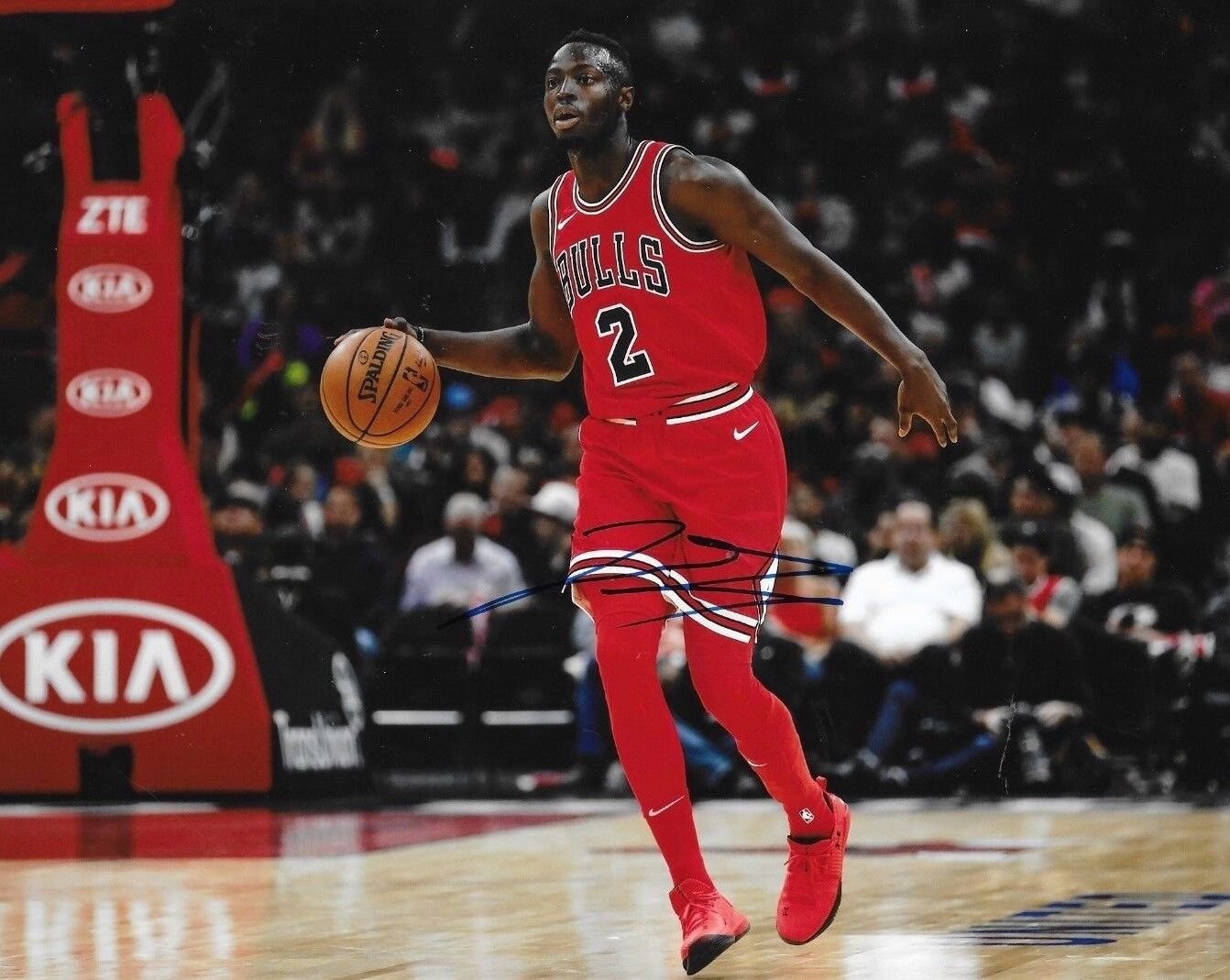 Jerian Grant signed Chicago Bulls 8x10 Photo Poster painting autographed 4