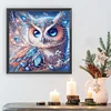Eule - speziell geformte Diamantmalerei - 30 * 30cm