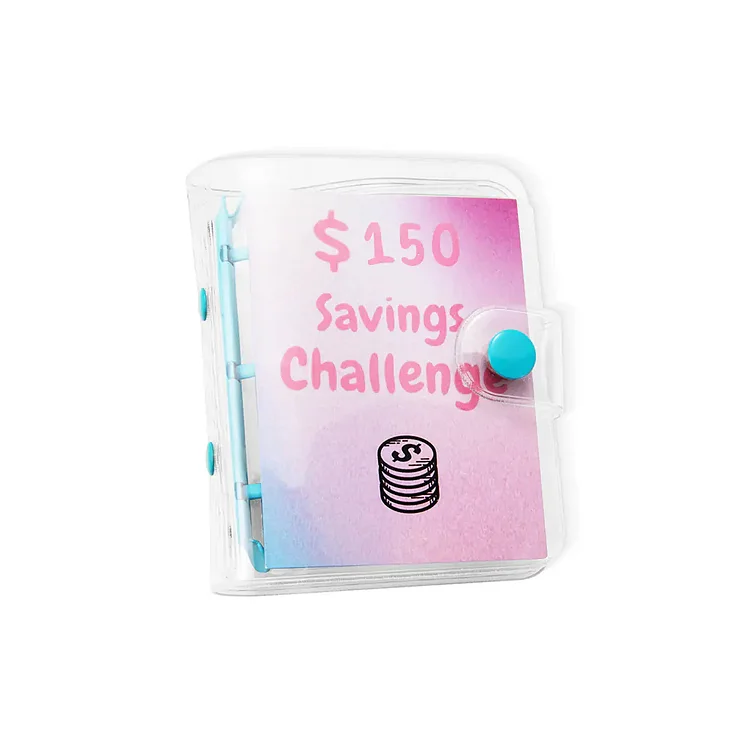 Mini Binder Savings Challenge