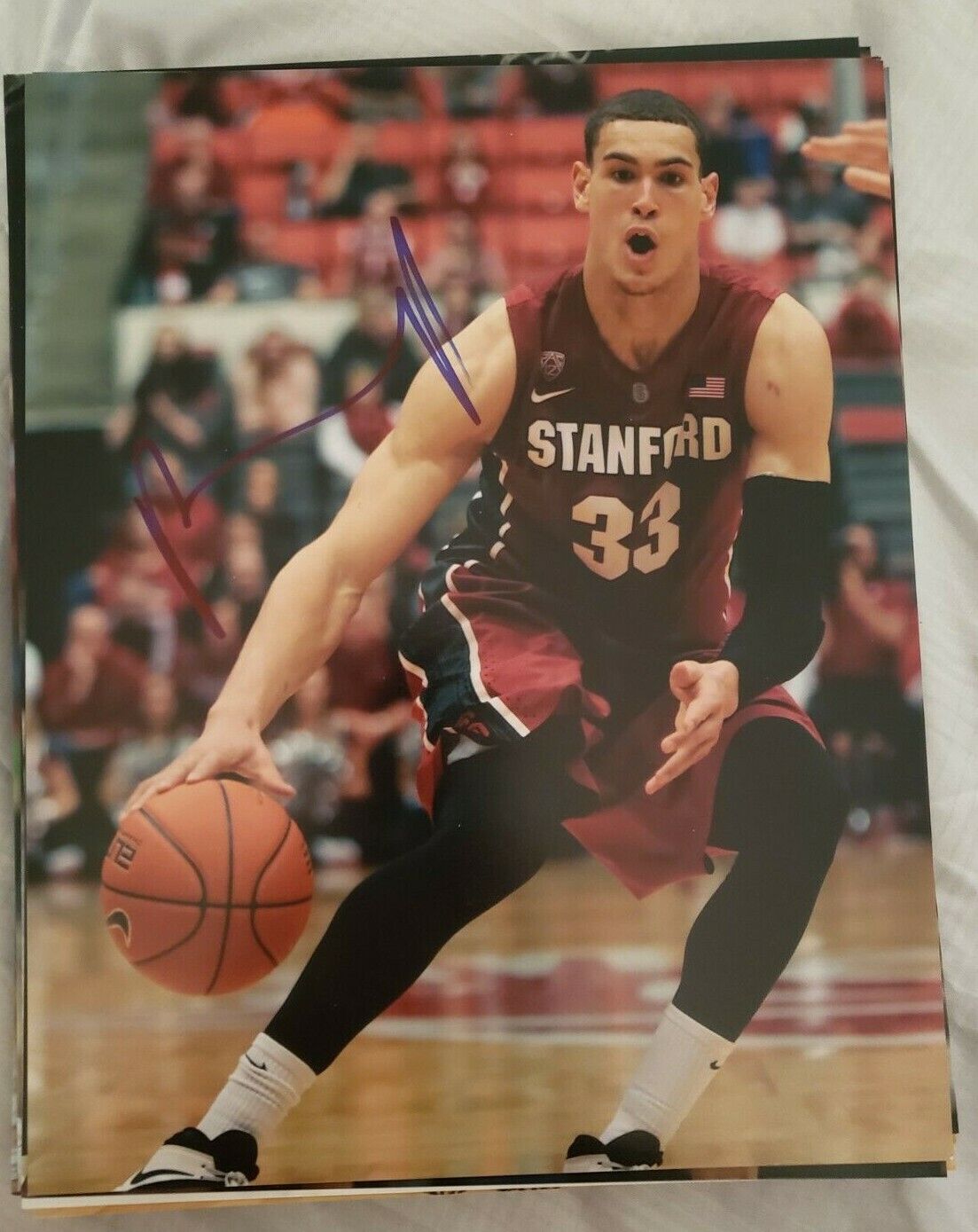 DWIGHT POWELL STANFORD CARDINALS SIGNED AUTOGRAPHED 8X10 Photo Poster painting W/COA MAVERICKS