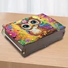 (US Local)Diamond Painting Storage Box DIY 5D Diamond Painting Jewelry Box (Owl A)