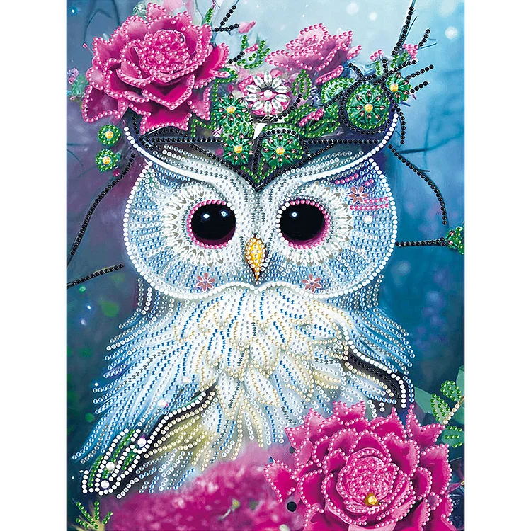 Partial Drills Special-shaped Drill Diamond Painting - Owl - 30*40cm
