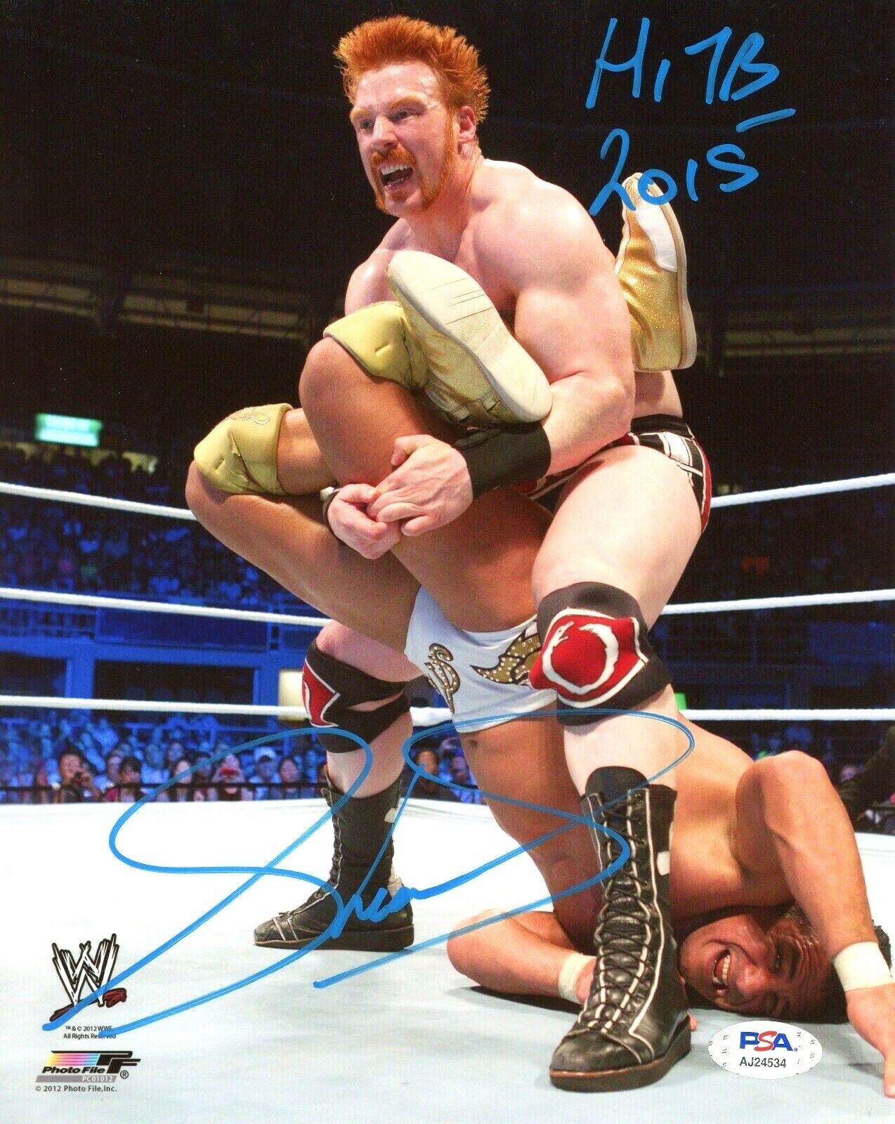 WWE SHEAMUS HAND SIGNED AUTOGRAPHED 8X10 Photo Poster painting WITH PROOF AND PSA DNA COA 12