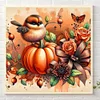 Diamond Painting-DIY Round Part AB Drill Pumpkin Bird(35*35CM)