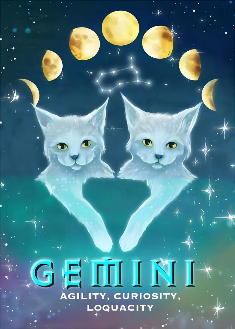 Cosmic Gemini Zodiac Cat 40*50CM(Canvas) Full Round Drill Diamond Painting gbfke