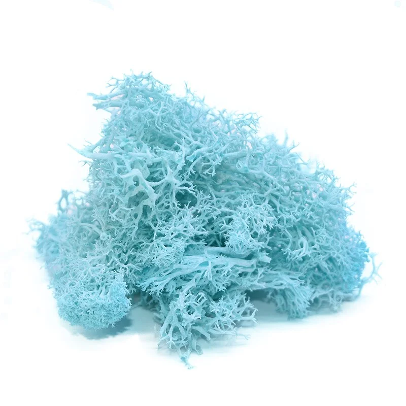 20g Artificial Plant Eternal Life Moss Garden Home Decoration Wall DIY Flower Material Mini Garden Micro Landscape Accessories