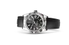 Rolex 336239 Sky-Dweller - New
