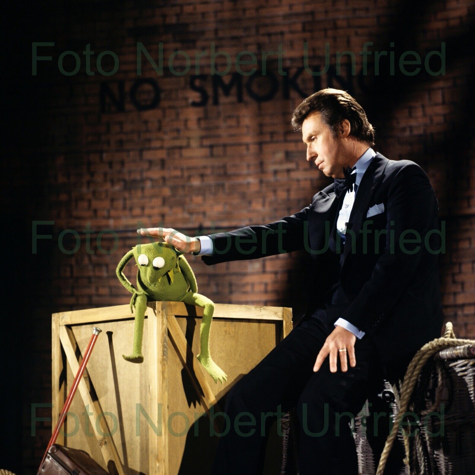 Peter Alexander - Kermit - Muppet Photo Poster painting 13 X 13 CM (Picture 506