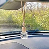 Hanging Fragrance Diffuser| Cube Shape | Cute Car Accessory | Long-Lasting Scent | Air Deodorizer, Freshener, Eco Friendly Diffuser, (Pineapple Sage)