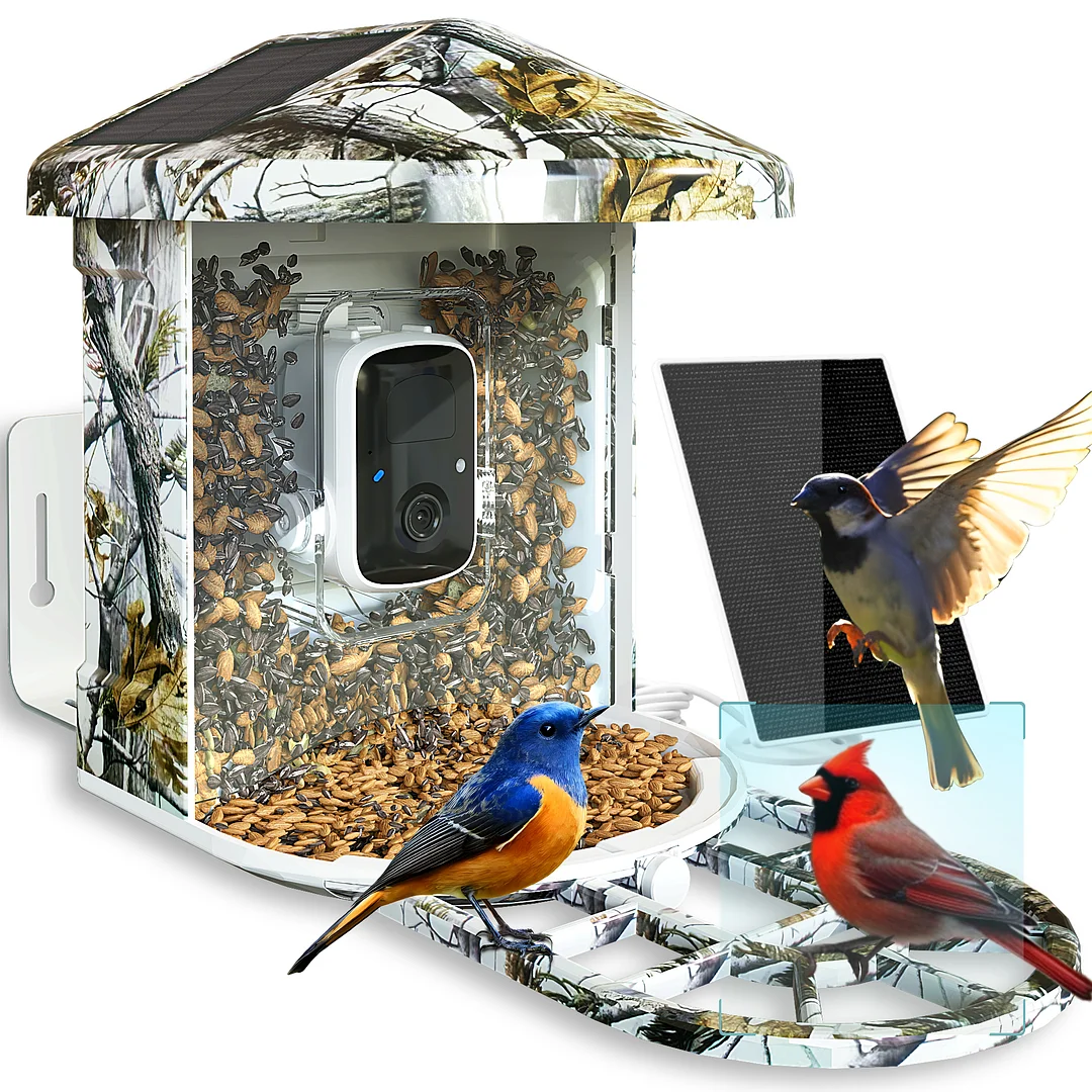 Bird Feeder with Camera