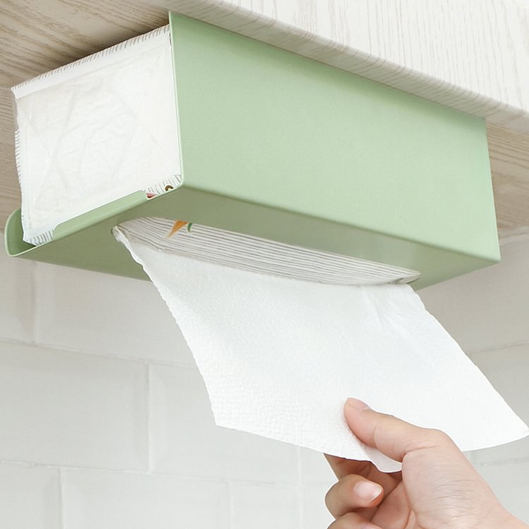 Wall Mounted Tissue Holder