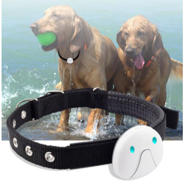 GPS Dog Tracker Collar with Voice Command