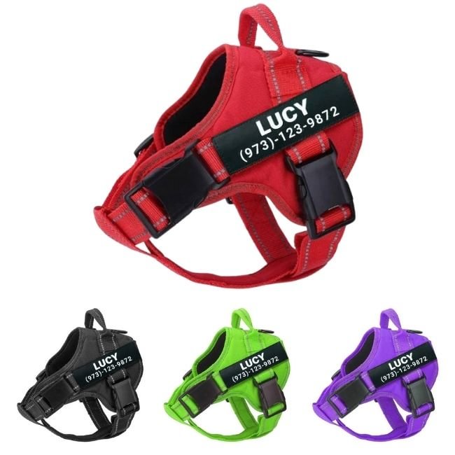 Personalized No Pull Dog Harness 
