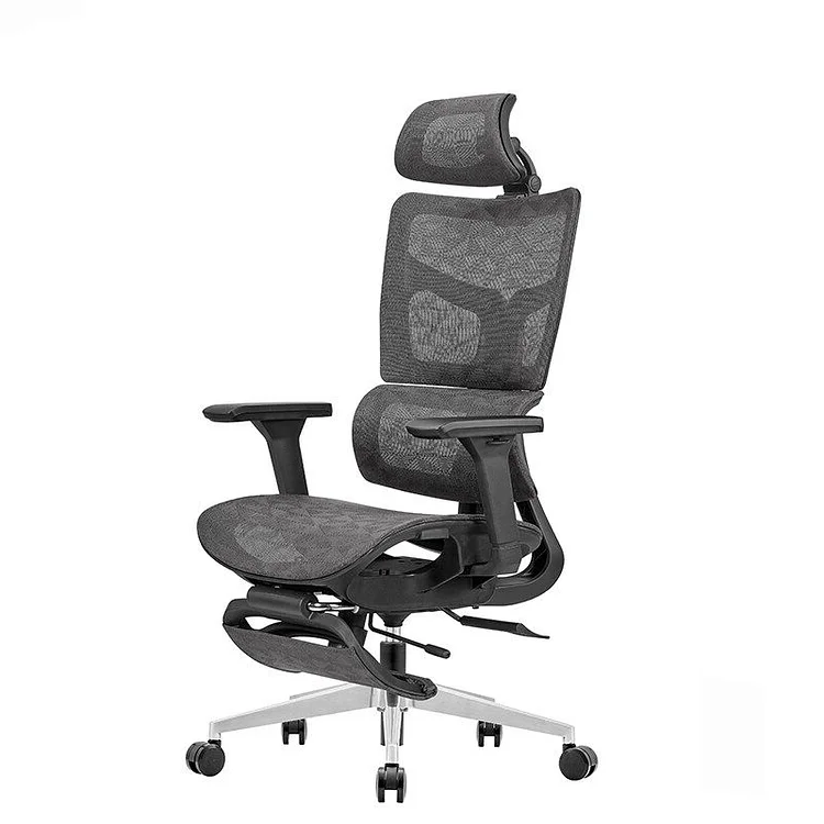 ToZient Ergonomic Office Chair,Adjustable Mechanism, Mesh Back and Seat  Support