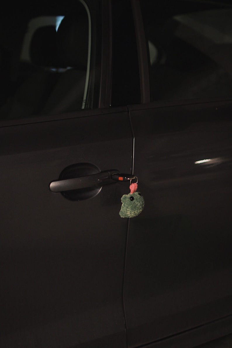 May include: A black car door with a black door handle. A green and pink plush toy is attached to the door handle.