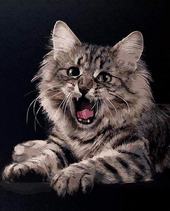 

Angry Cat – Paint By Numbers - 40*50CM, 501 Original