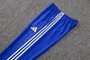 Joyfball 2026/2027 Juventus Half-Pull Training Suit Electric blue Football Shirt 1:1 Thai Quality