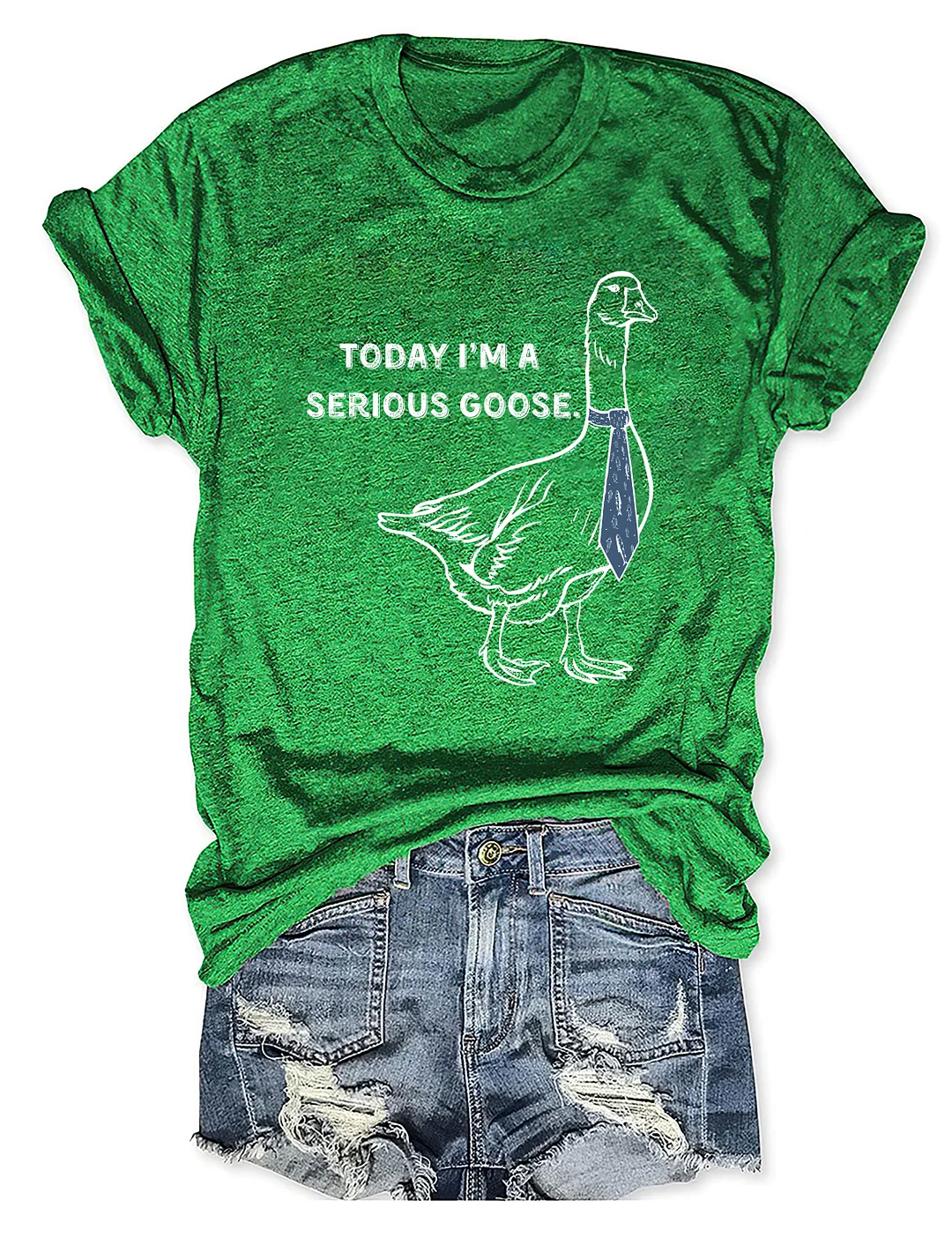 Today I'm A Serious Goose T-Shirt