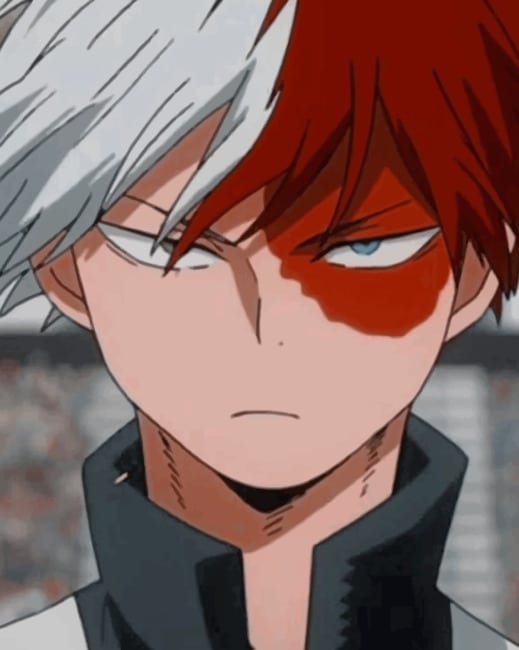 

Shoto Todoroki Anime – Paint By Numbers - 40*50CM, 501 Original