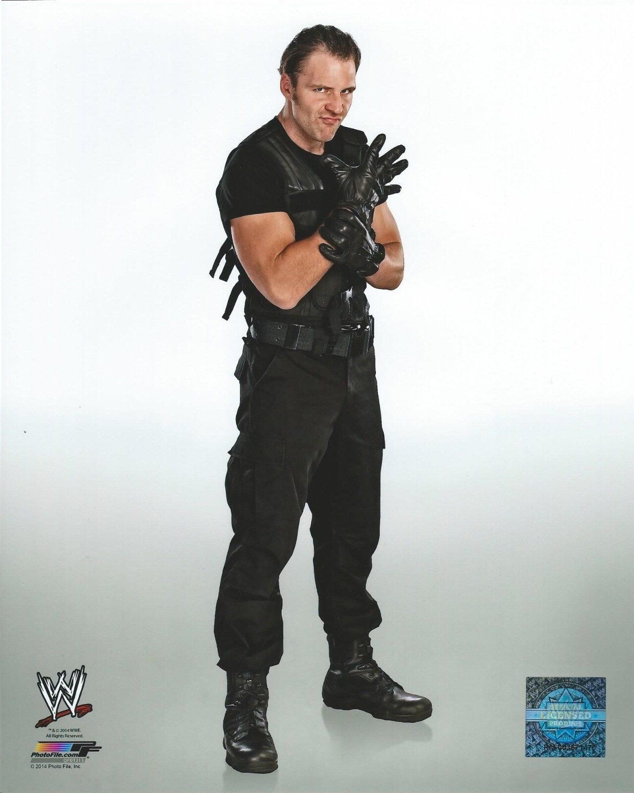 WWE DEAN AMBROSE OFFICIAL LICENSED 8X10 WRESTLING Photo Poster paintingFILE Photo Poster painting 4