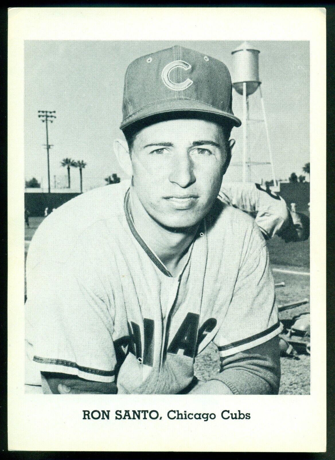 Original 1960's RON SANTO CHICAGO CUBS Team Issue B&W Photo Poster painting Card 5X7 EX+