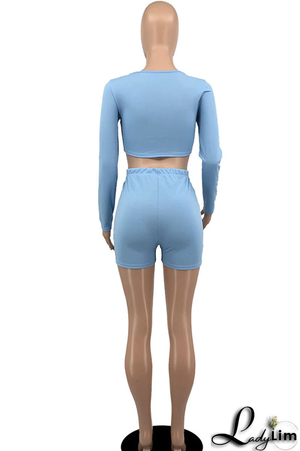 Sky Blue Casual Solid Patchwork O Neck Long Sleeve Two Pieces