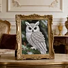 Owl-Special Shaped Diamond Painting
